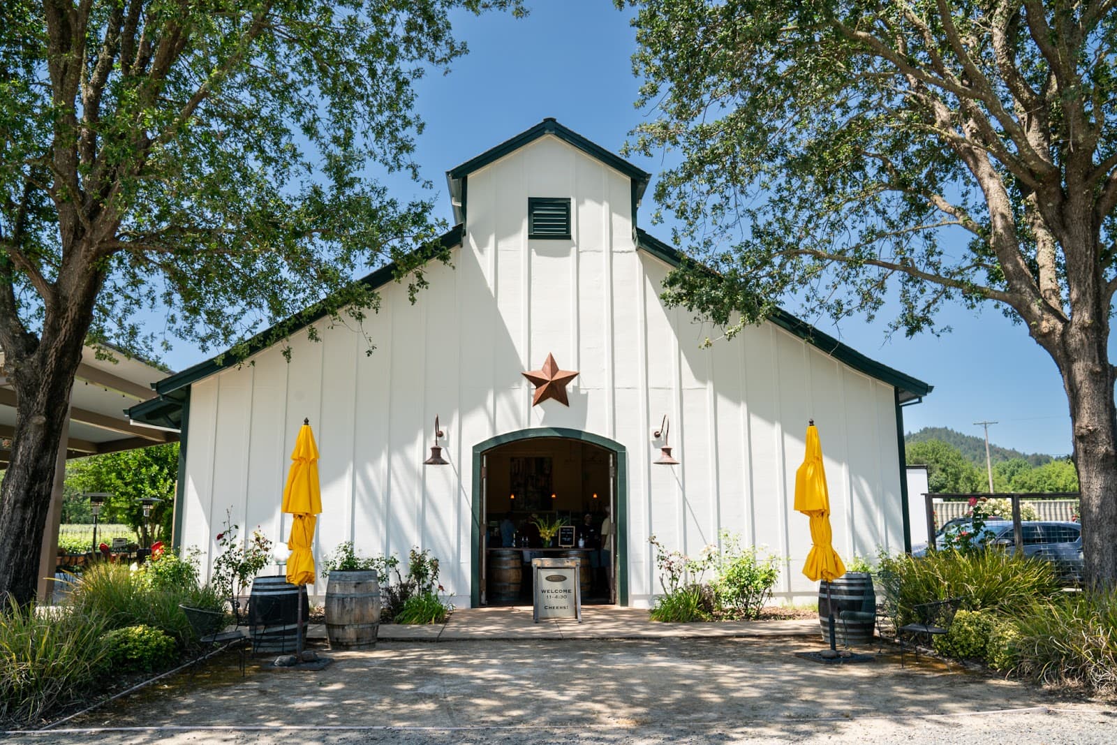 Photo of Amista Vineyards