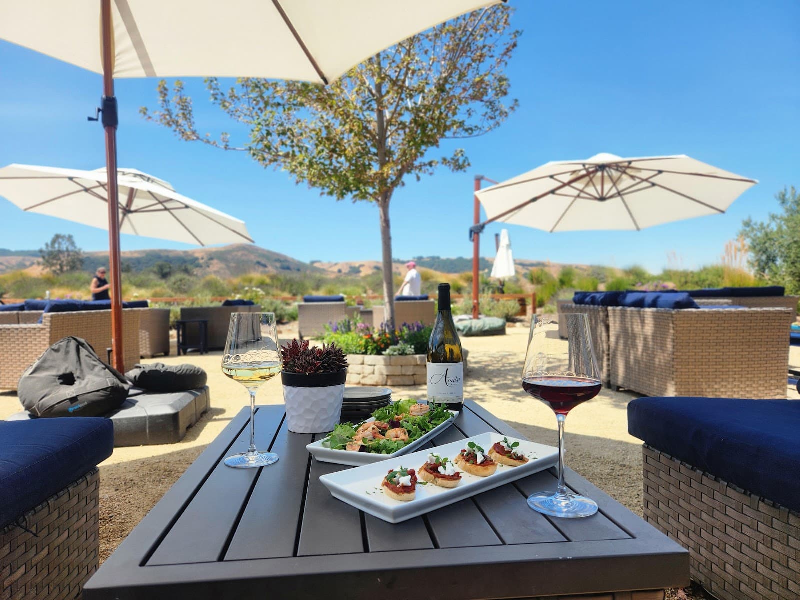 Photo of Anaba Wines