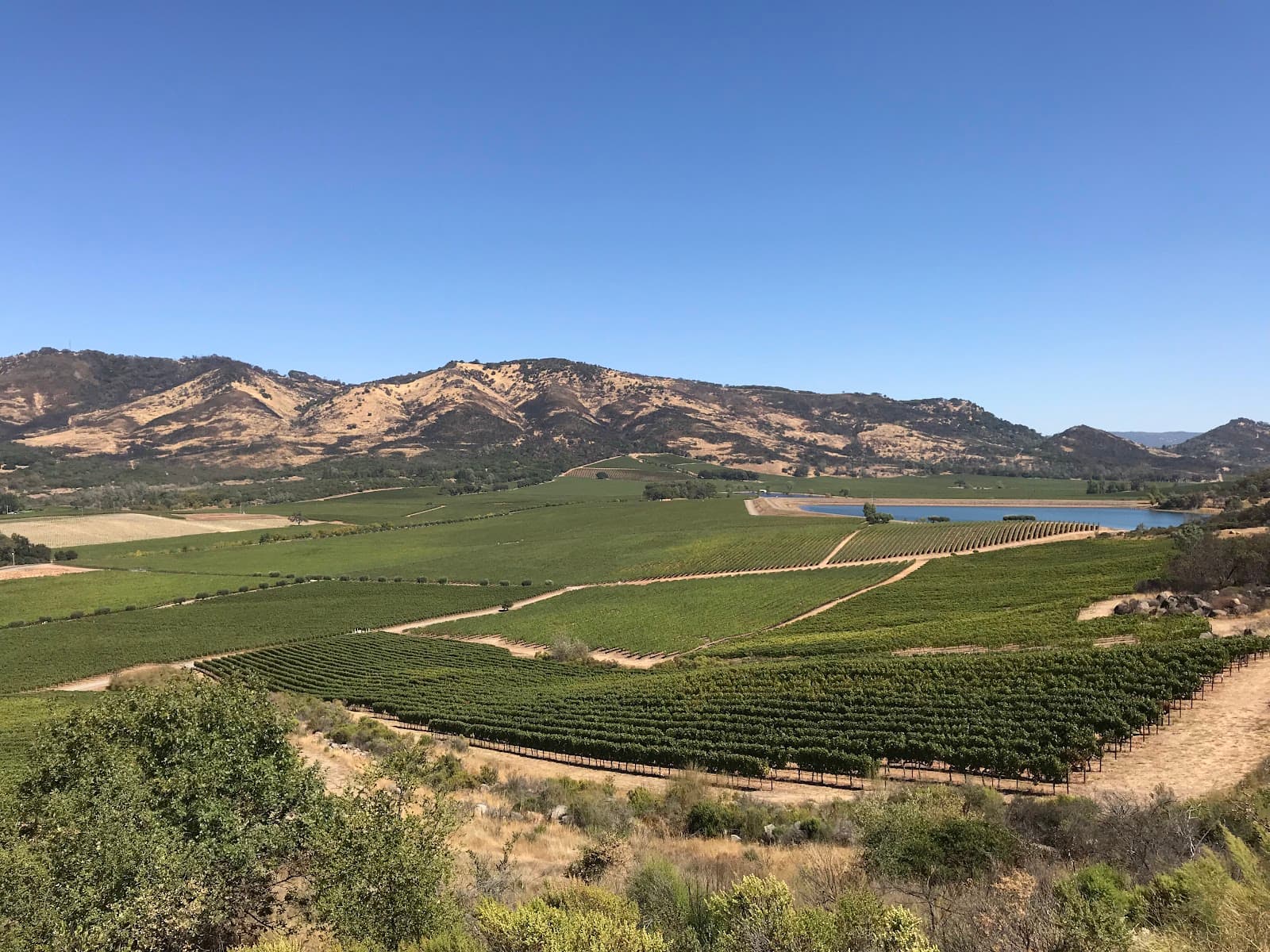 Photo of Antinori Napa Valley