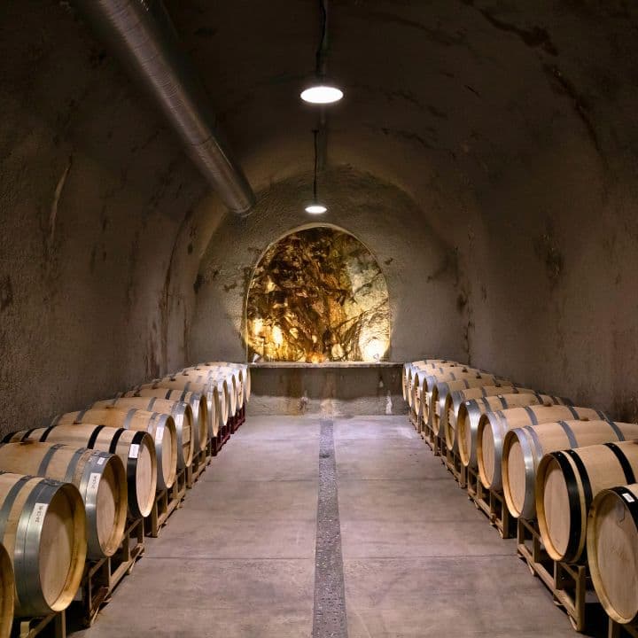 Photo of Baldacci Family Vineyards