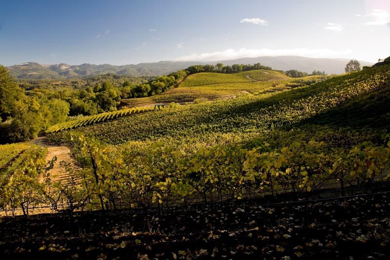 Benziger Family Winery