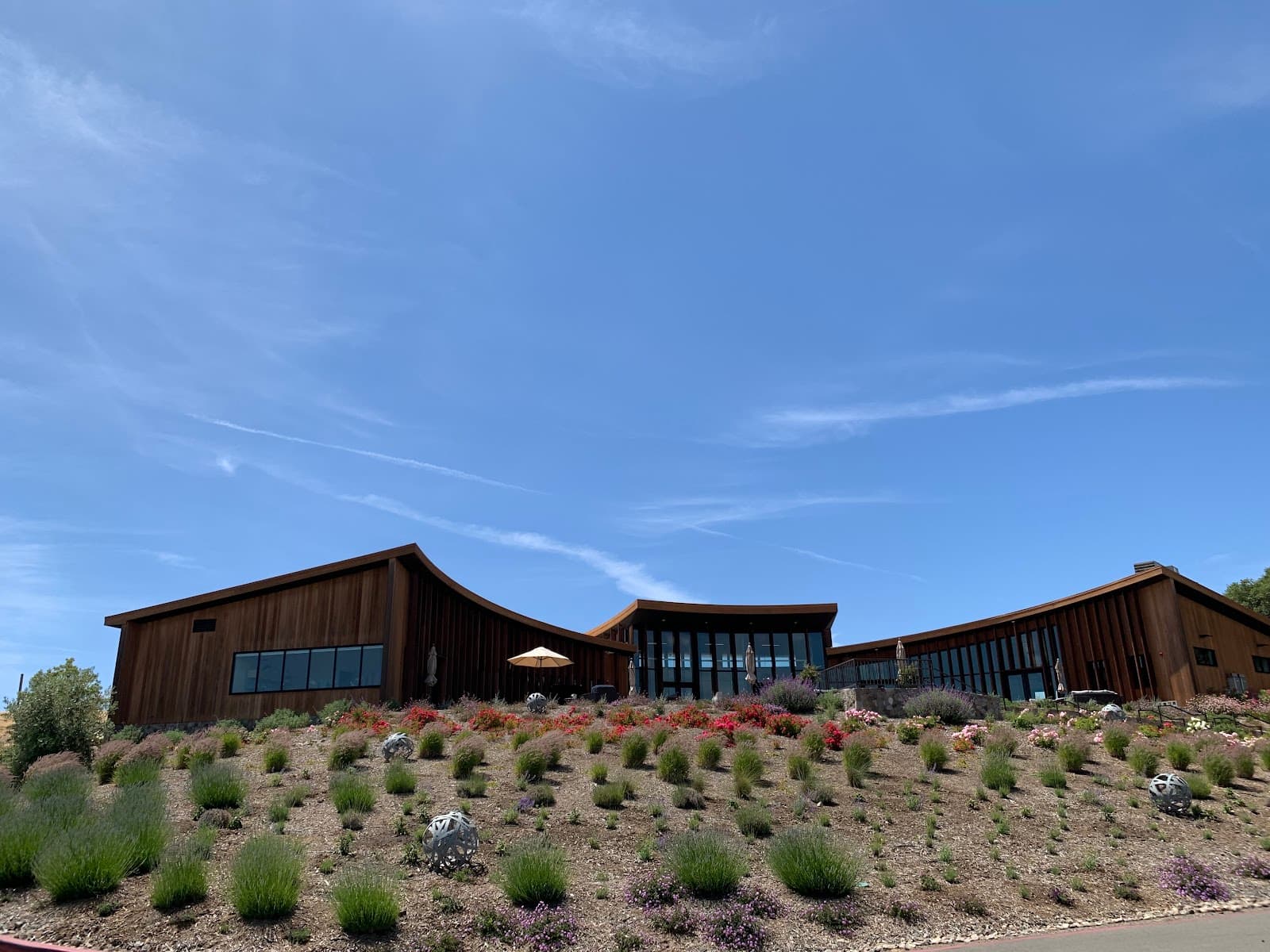 Photo of Bouchaine Vineyards