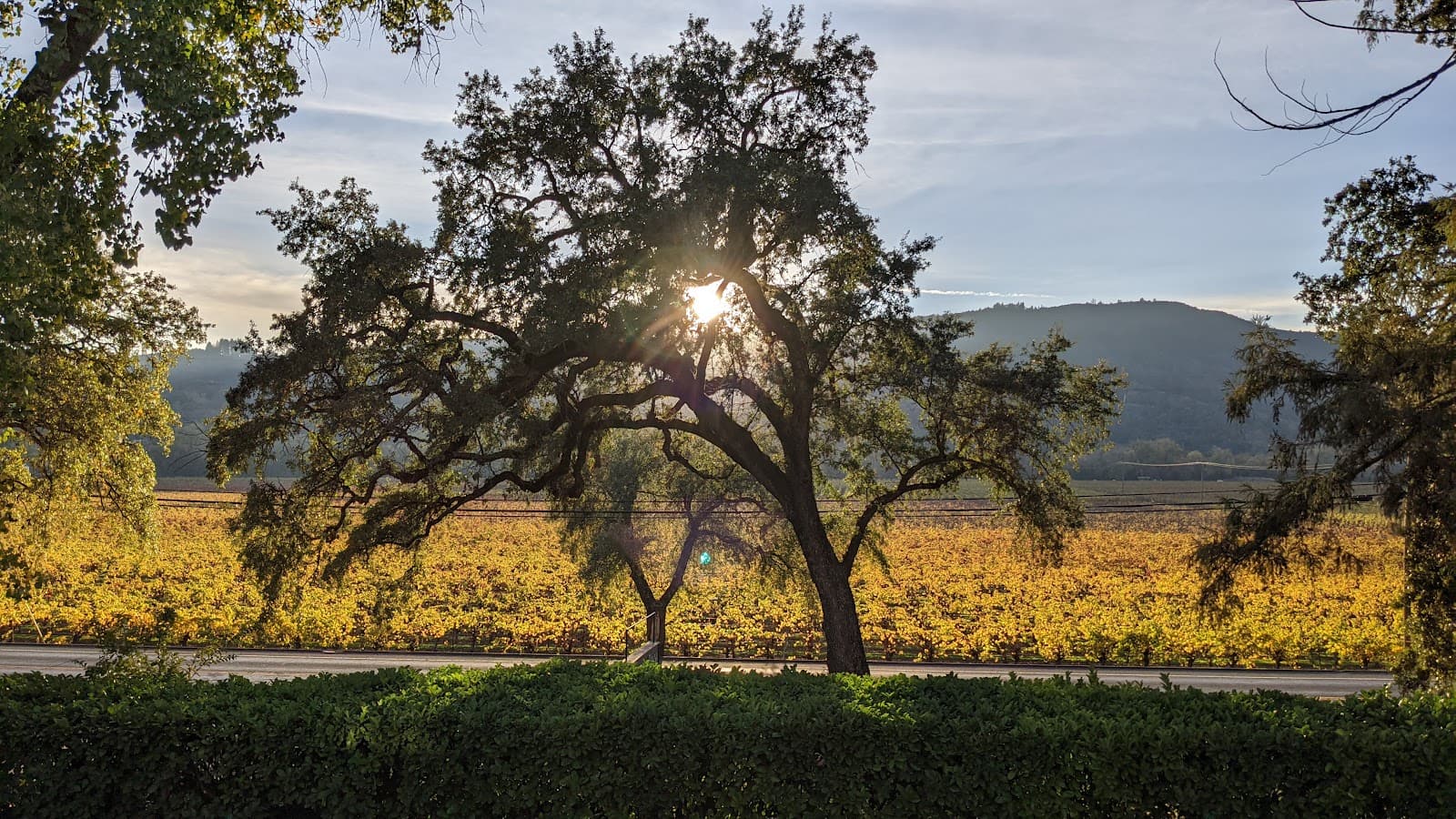 Photo of Chateau Diana