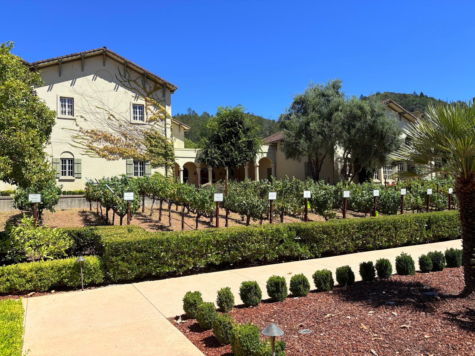 Photo of Chateau St. Jean Winery