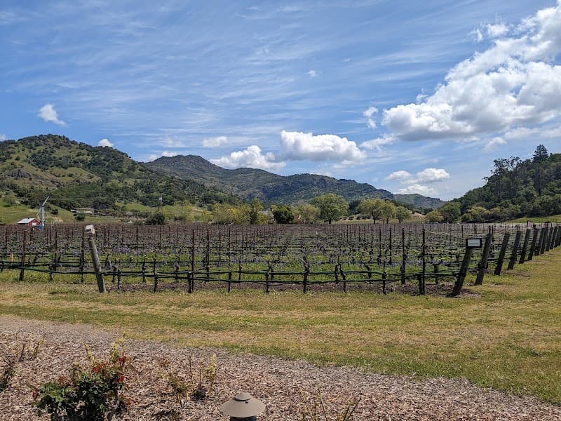 Cliff Lede Vineyards