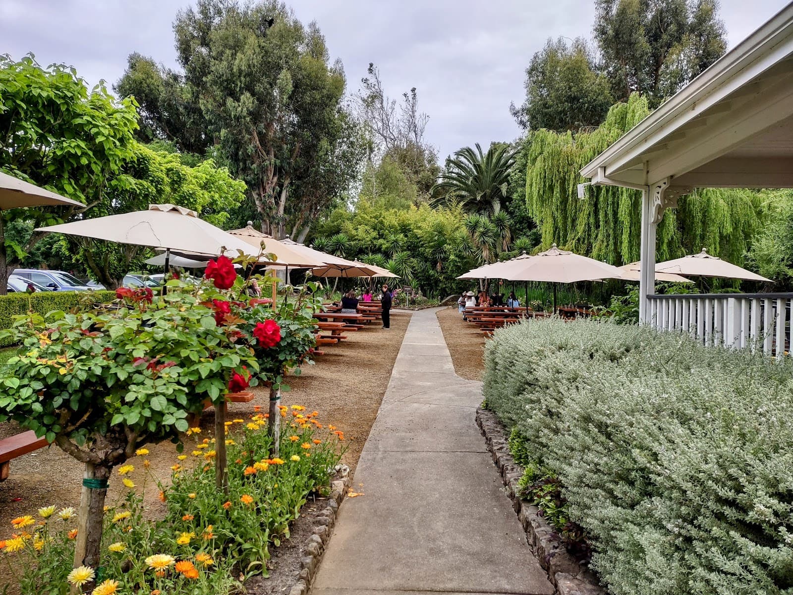 Photo of Cline Family Cellars