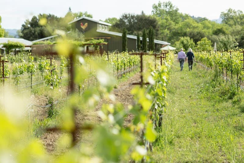 DaVero Farms & Winery