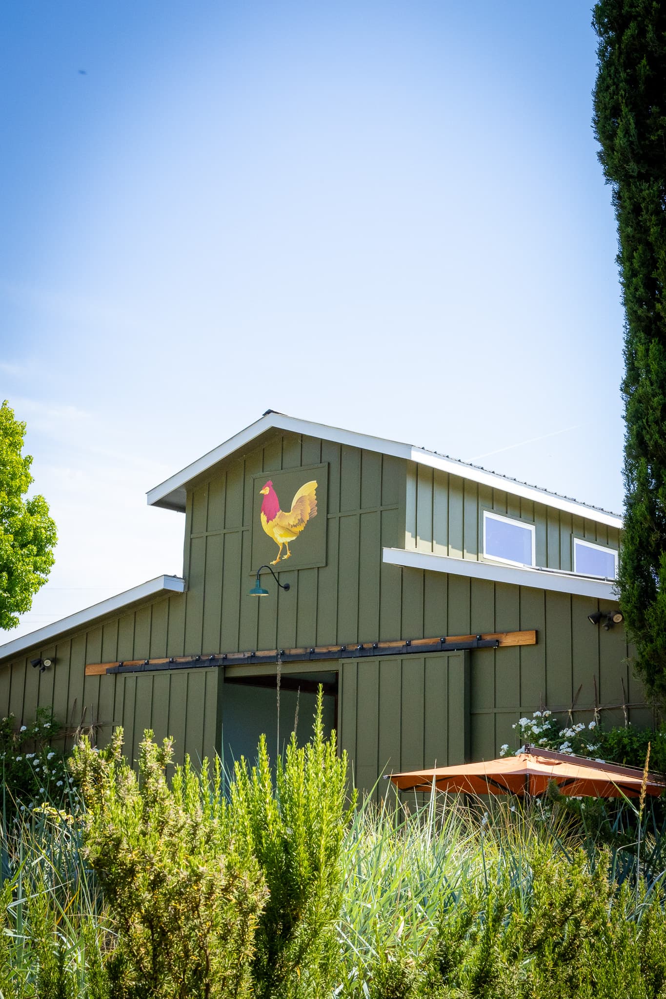 Photo of DaVero Farms & Winery