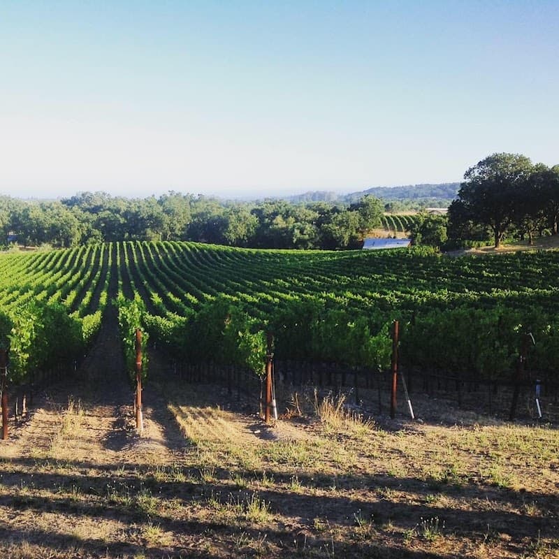 Domaine de la Rivière