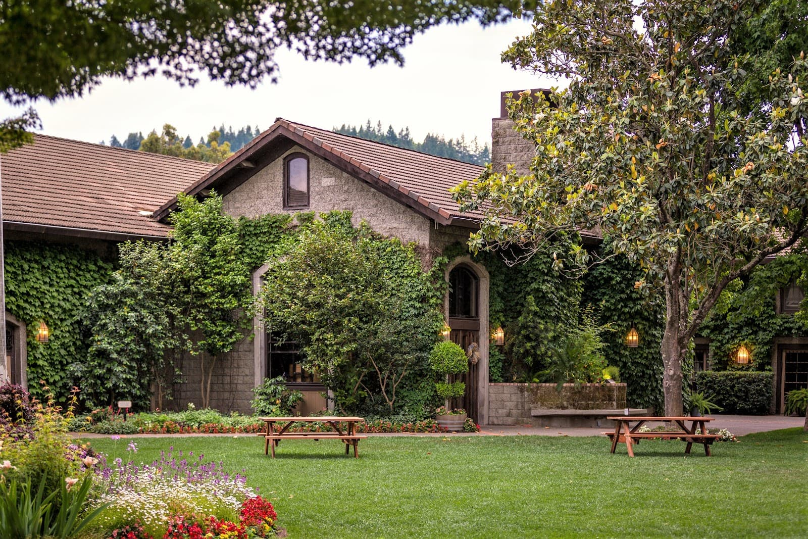 Photo of Dry Creek Vineyard