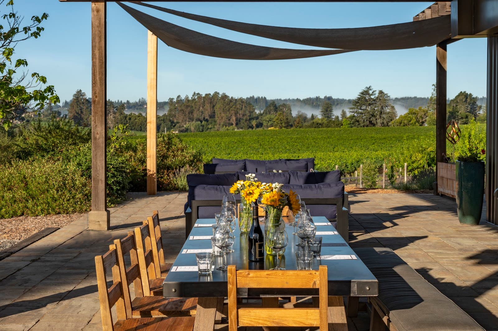 Photo of Emeritus Vineyards