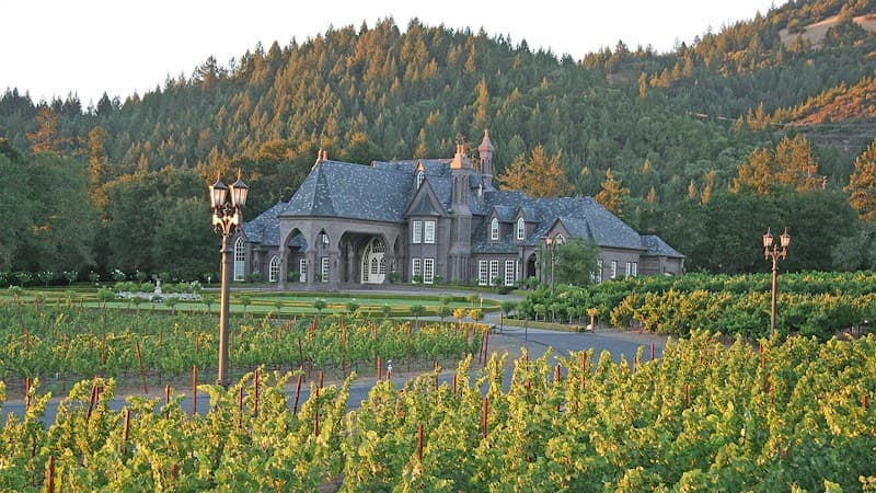 Ledson Winery & Vineyards