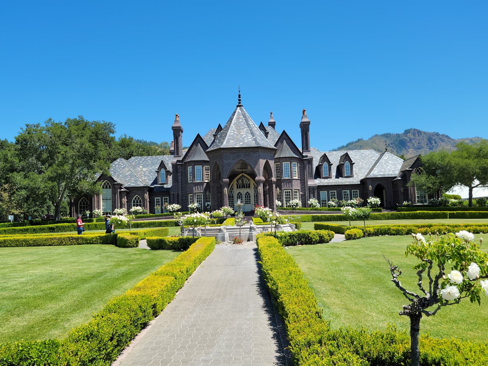 Photo of Ledson Winery & Vineyards