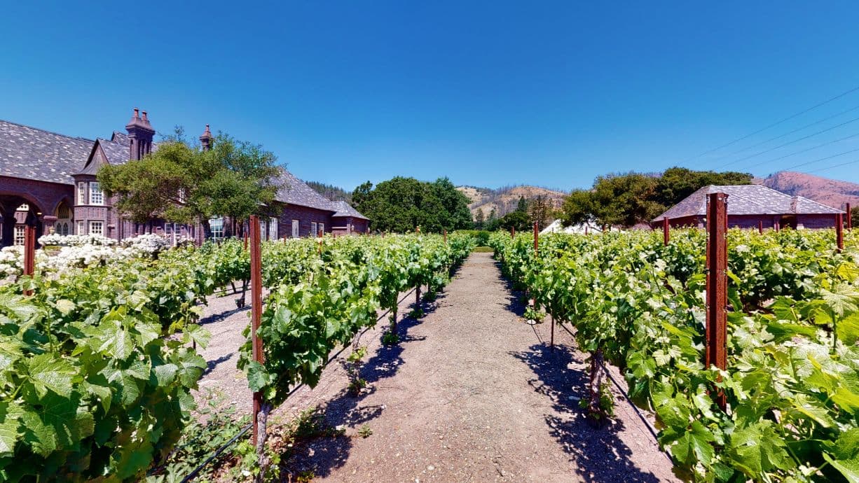 Photo of Ledson Winery & Vineyards