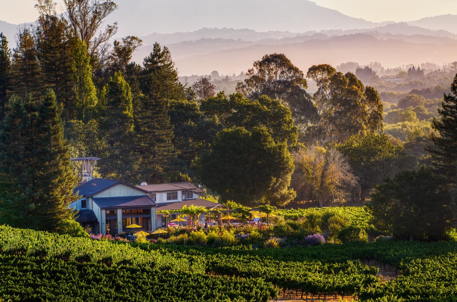 Photo of Lynmar Estate