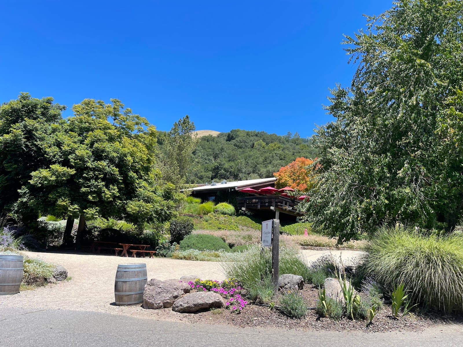 Photo of Matanzas Creek Winery