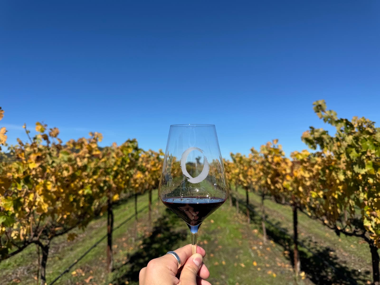 Photo of O'Brien Estate Winery