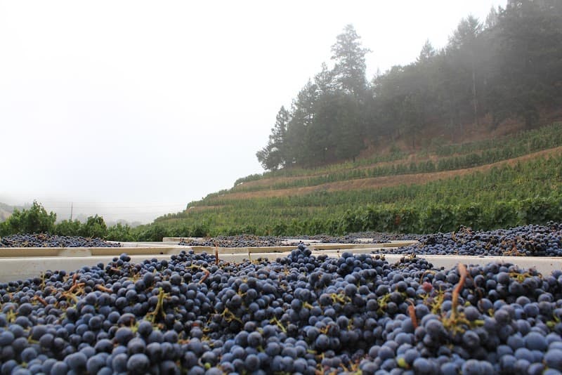 Pine Ridge Vineyards