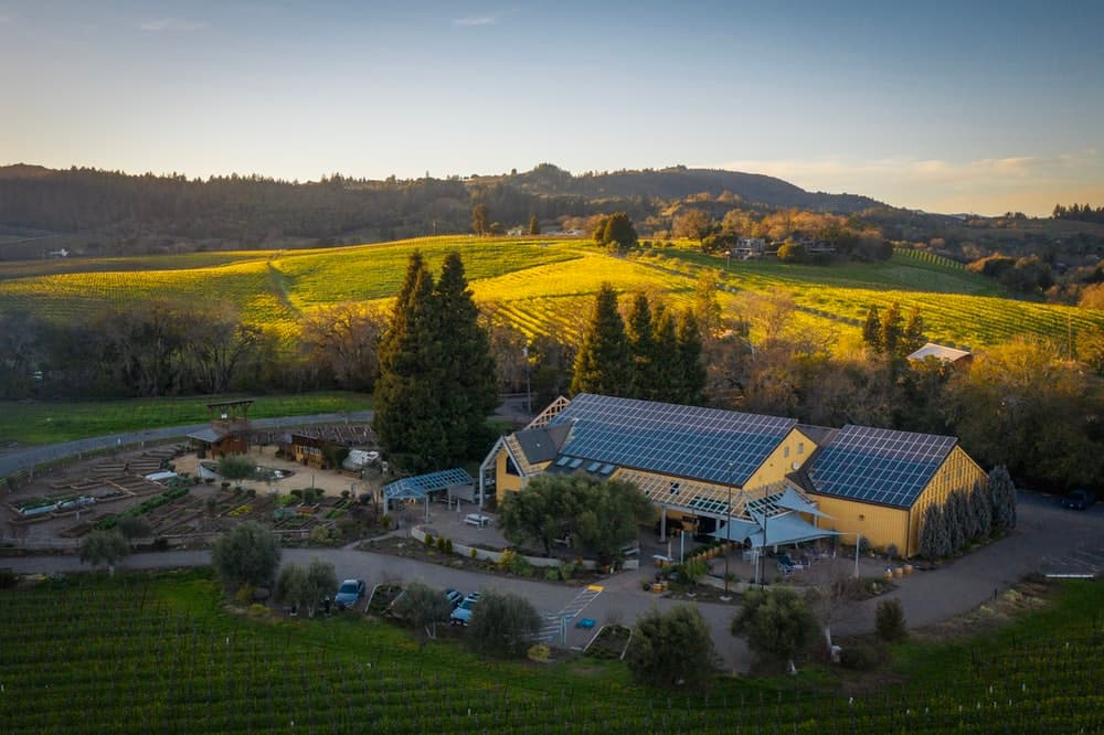 Photo of Quivira Vineyards