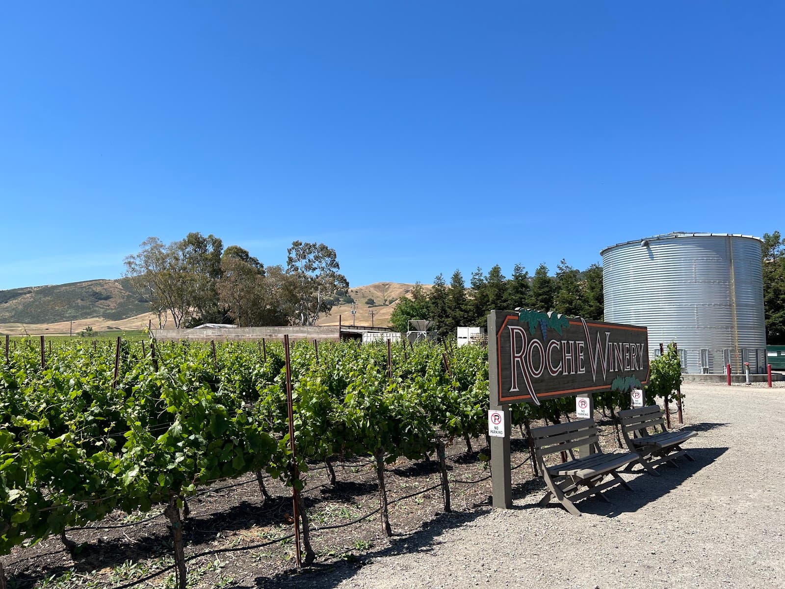 Photo of Roche Winery & Vineyards