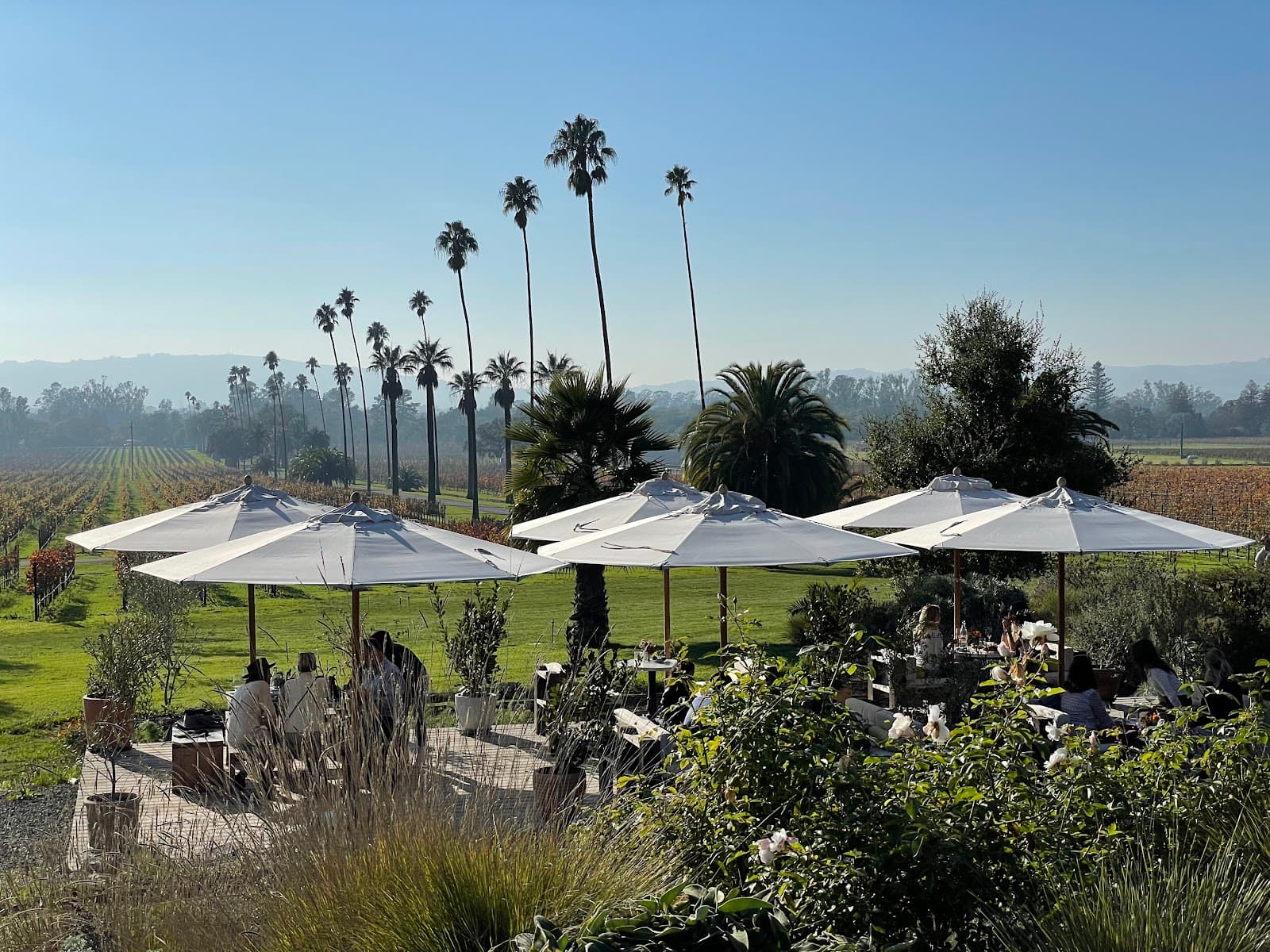 Photo of Scribe Winery