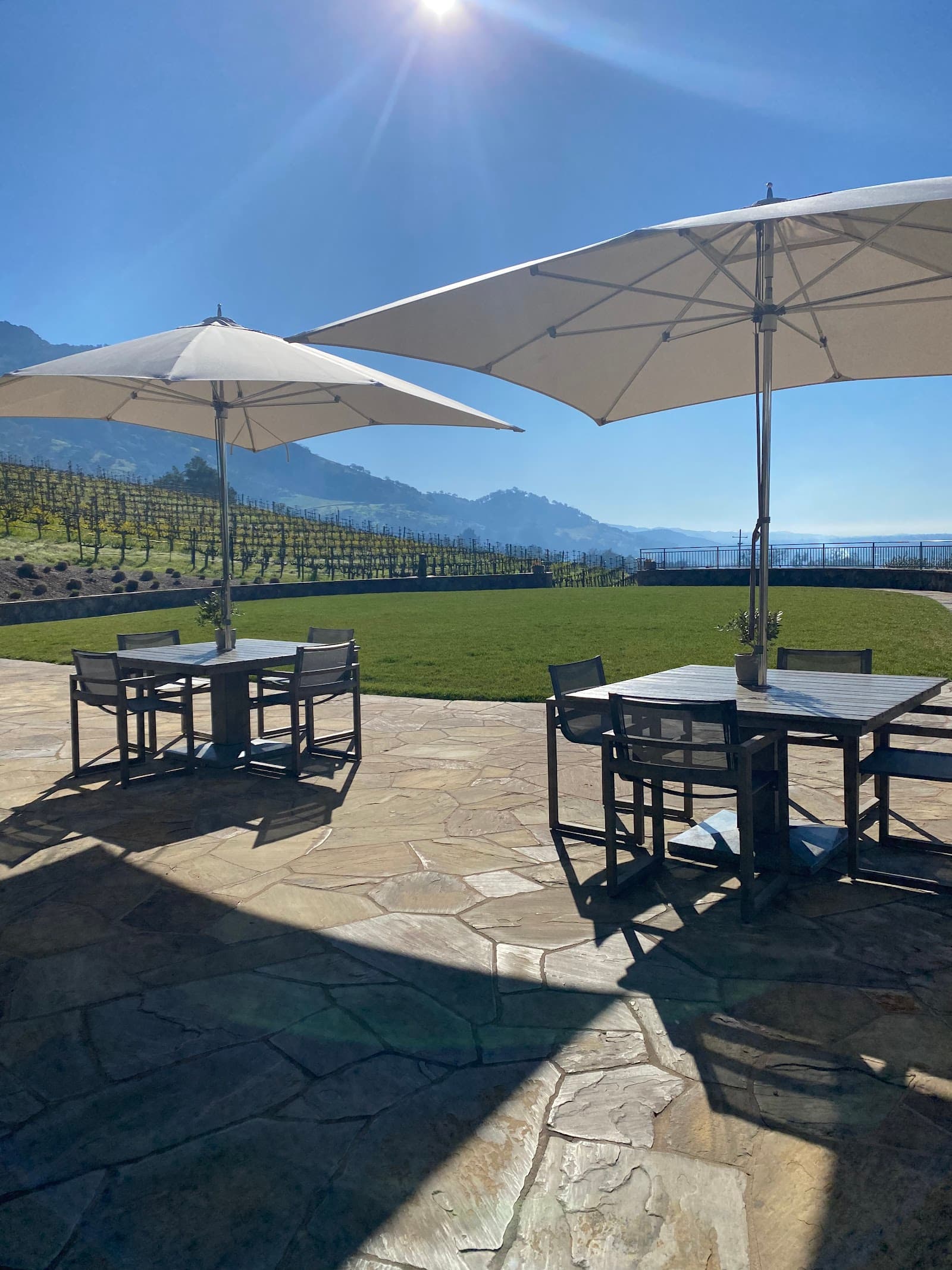 Photo of Shafer Vineyards