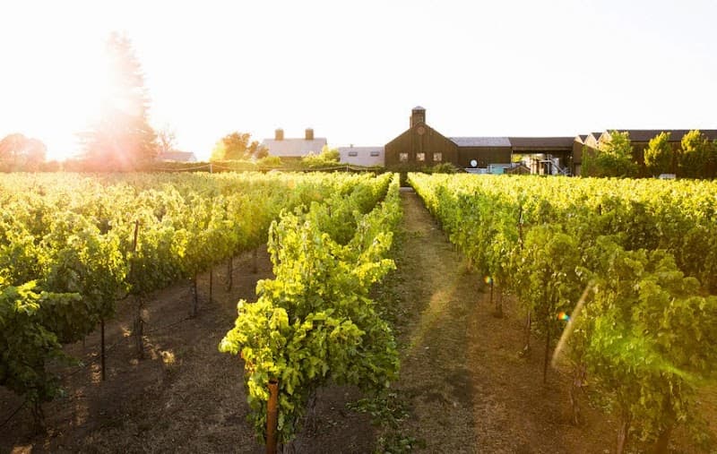 Turnbull Wine Cellars