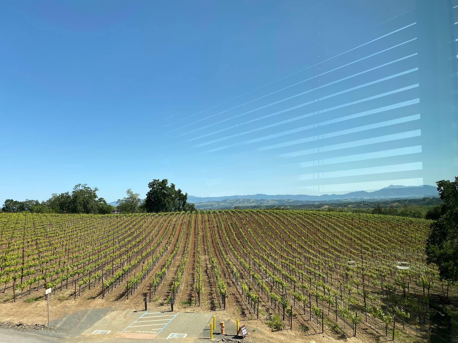 Photo of Williams Selyem