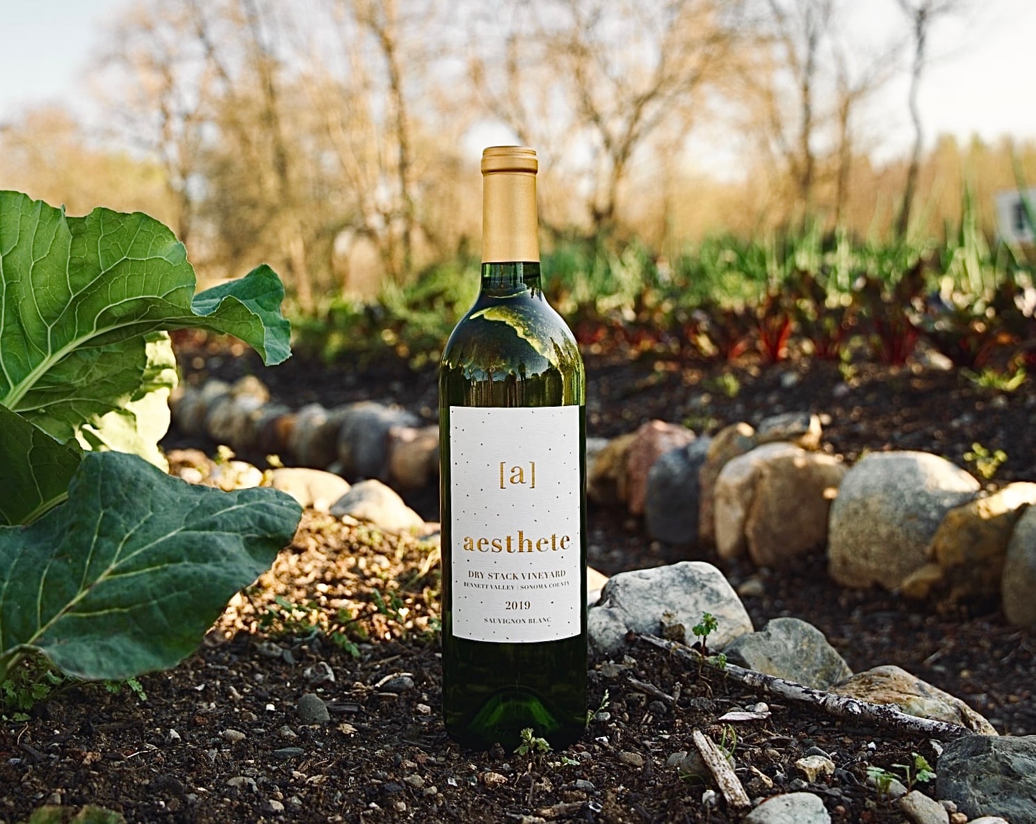 aesthete winery & farm photo 1