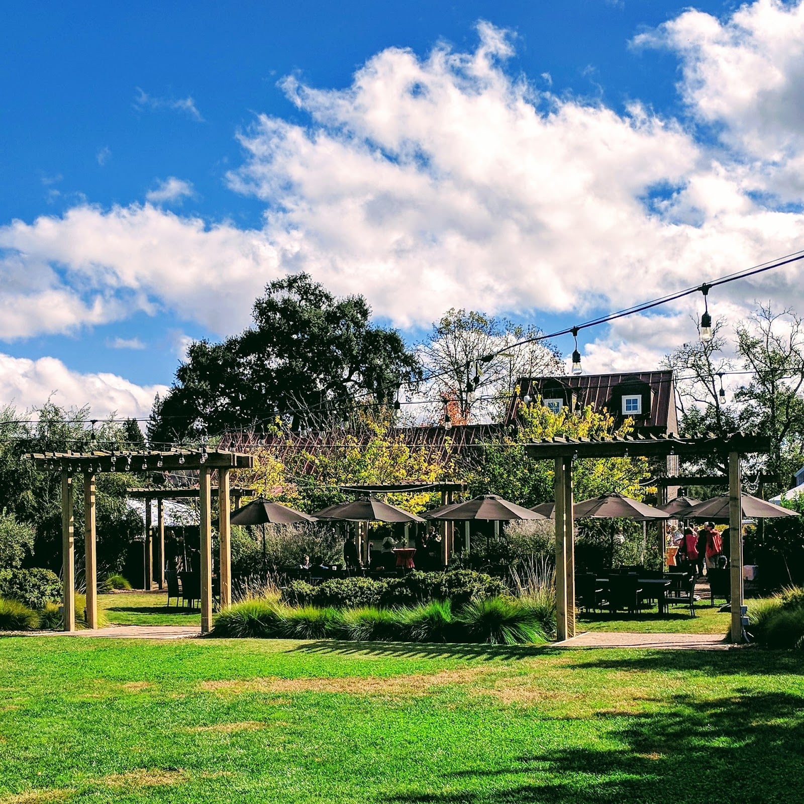 aesthete winery & farm photo 2