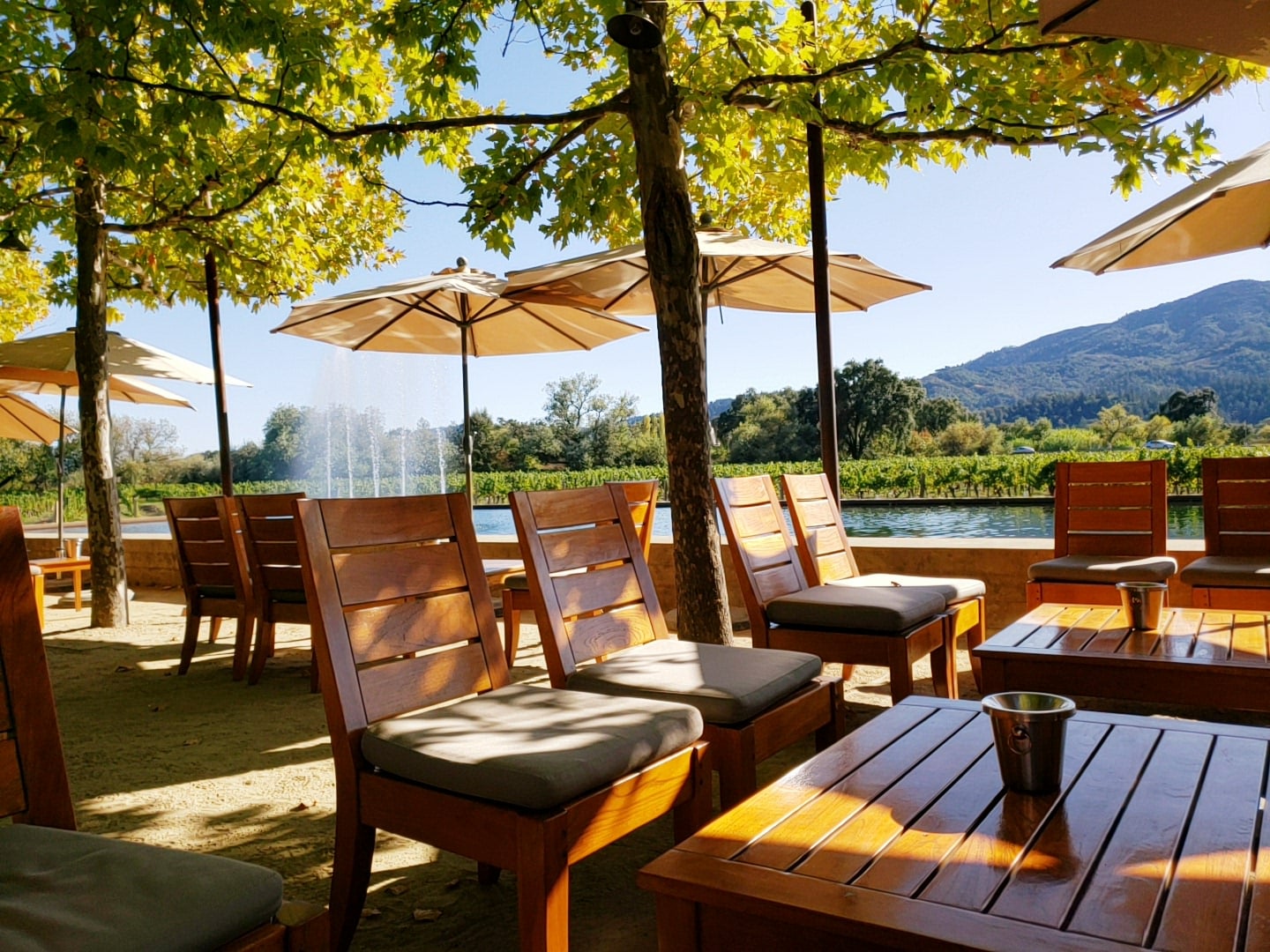 Alpha Omega Winery photo 2