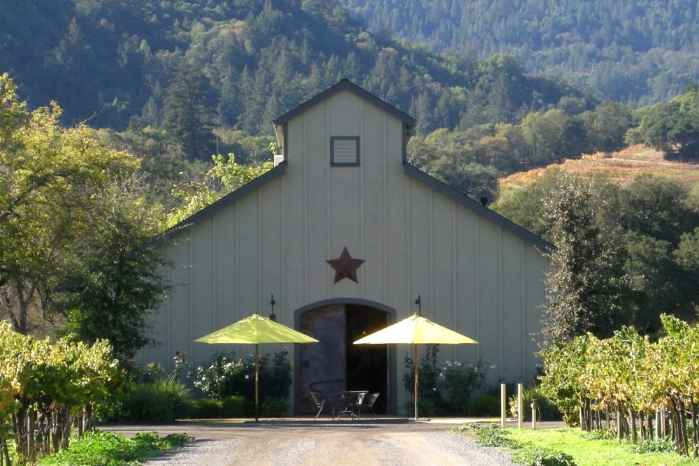Amista Vineyards photo 8