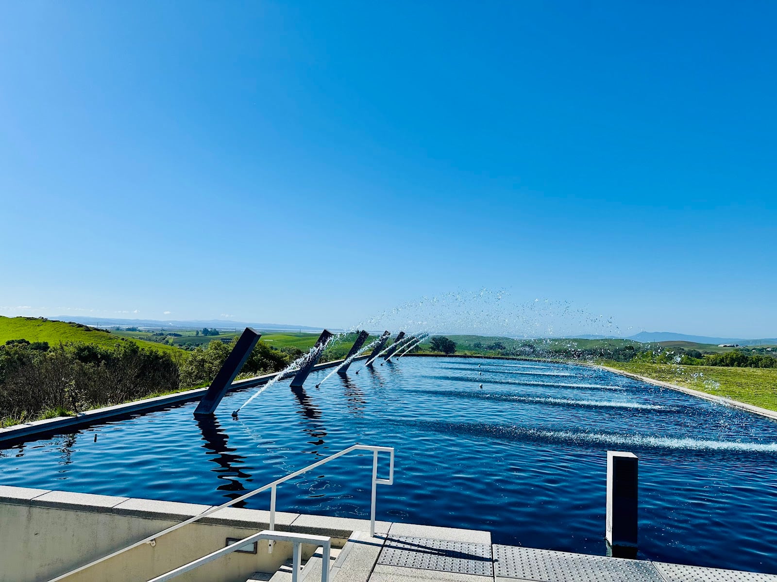 Artesa Vineyards photo 2