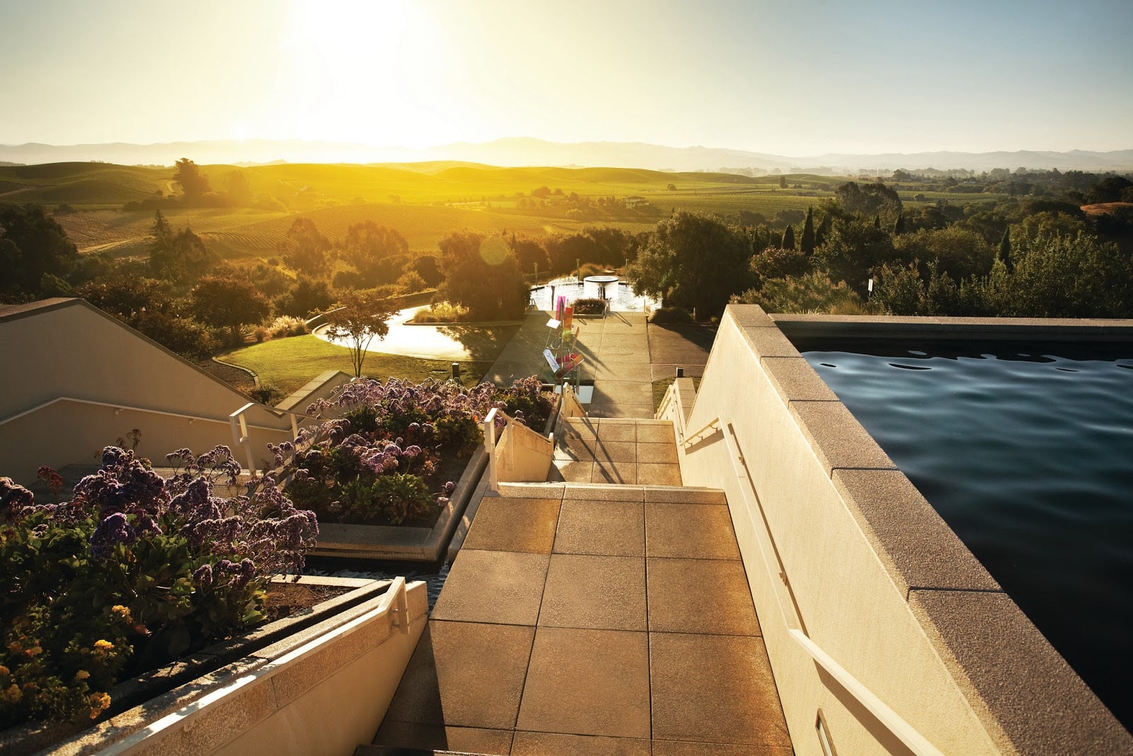 Artesa Vineyards photo 8