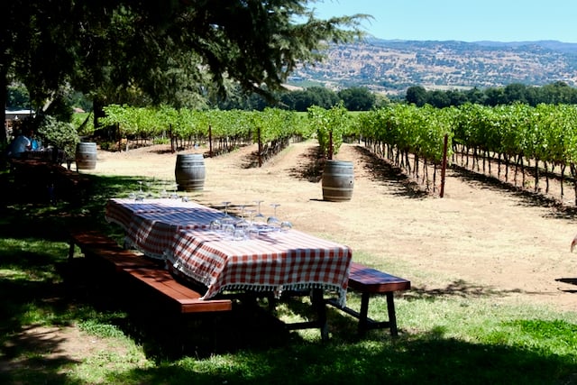 Backstage Winery photo 2