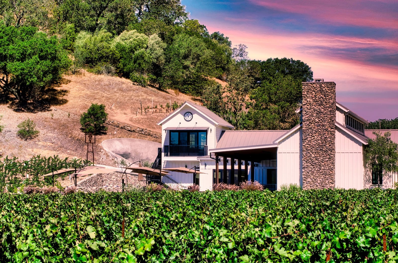 Baldacci Family Vineyards photo 6
