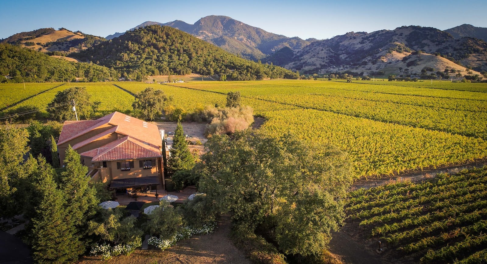 Bennett Lane Winery photo 1