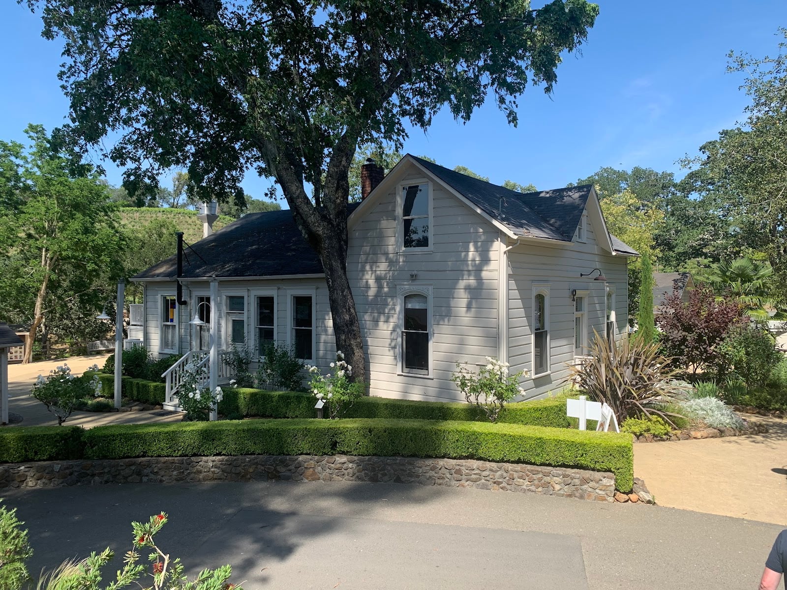 Benziger Family Winery photo 2