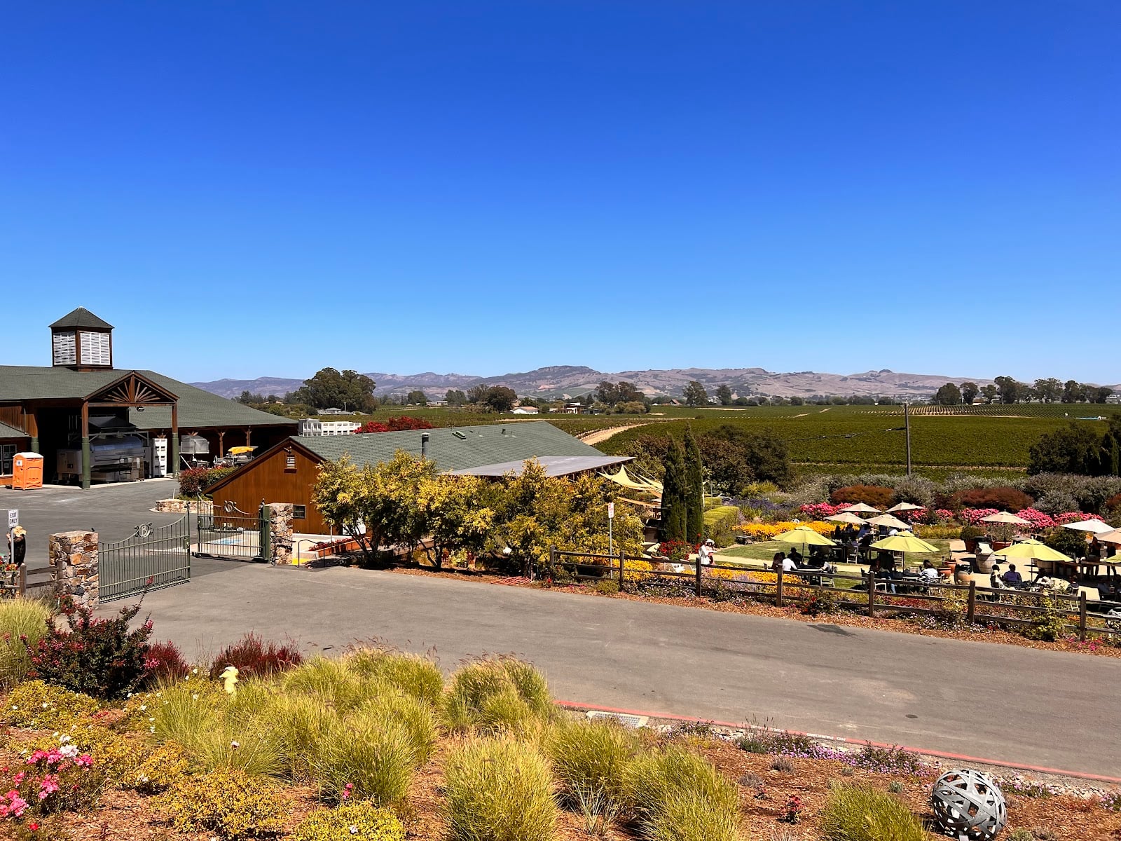 Bouchaine Vineyards photo 8