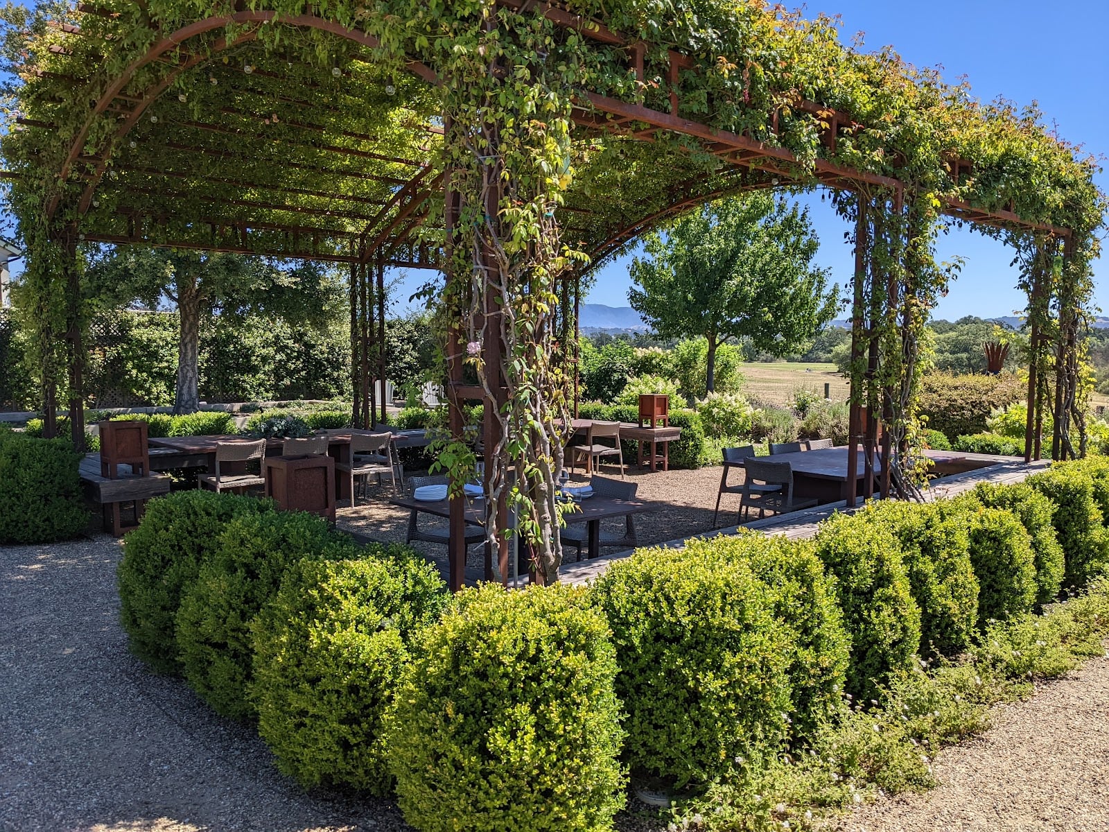 Bricoleur Vineyards photo 2