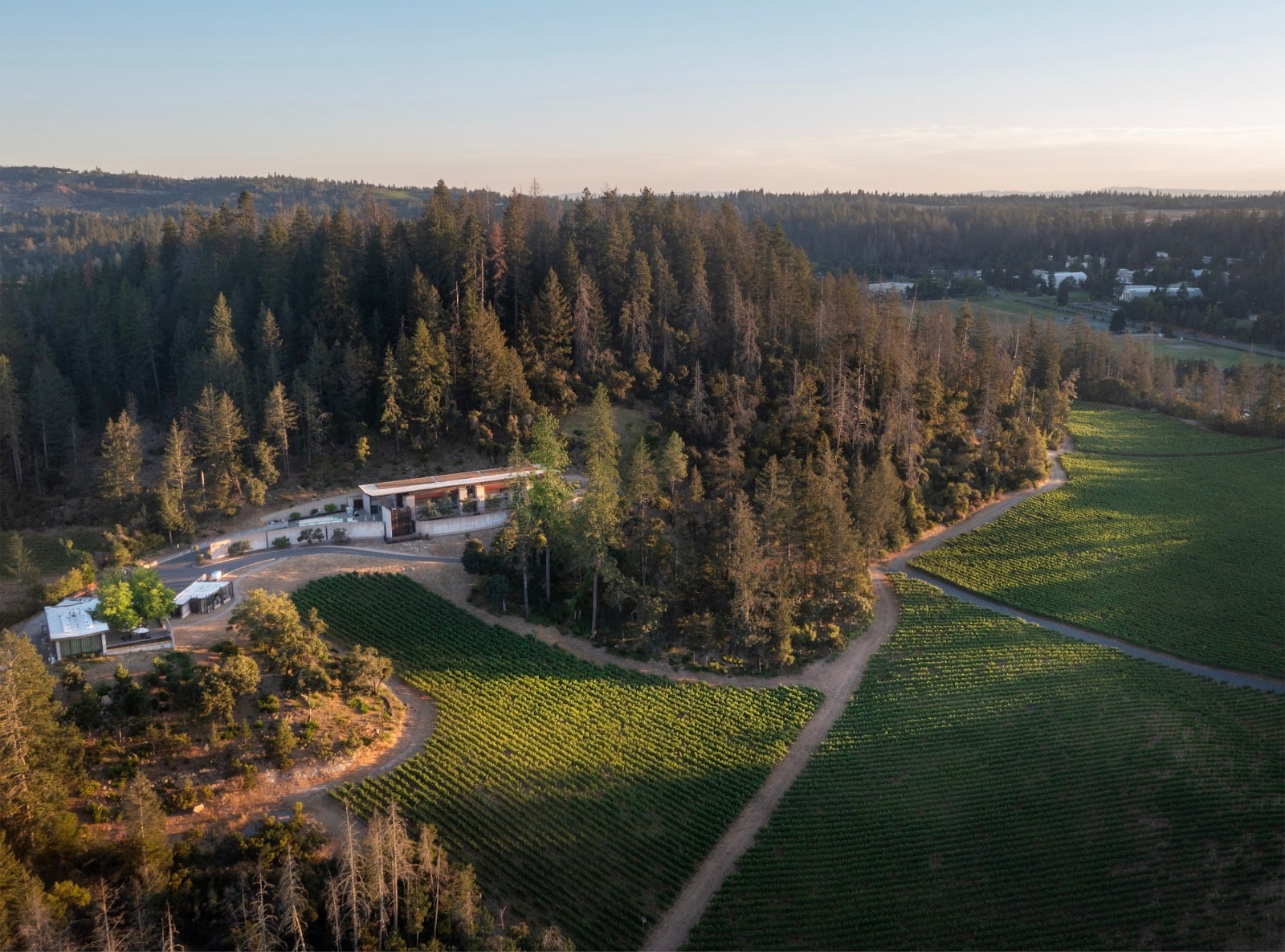 CADE Estate Winery photo 1