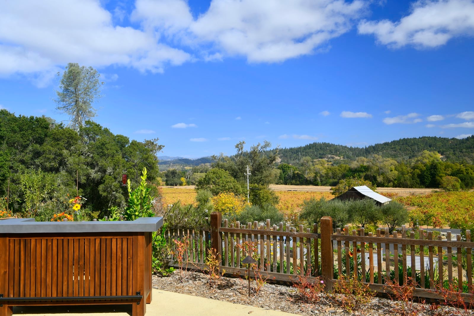 Capo Creek Winery photo 8