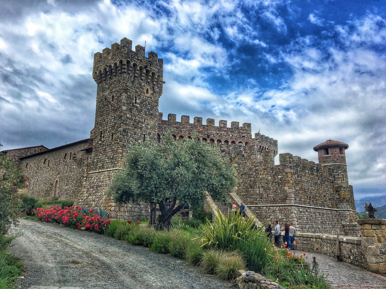 Castello di Amorosa photo 8