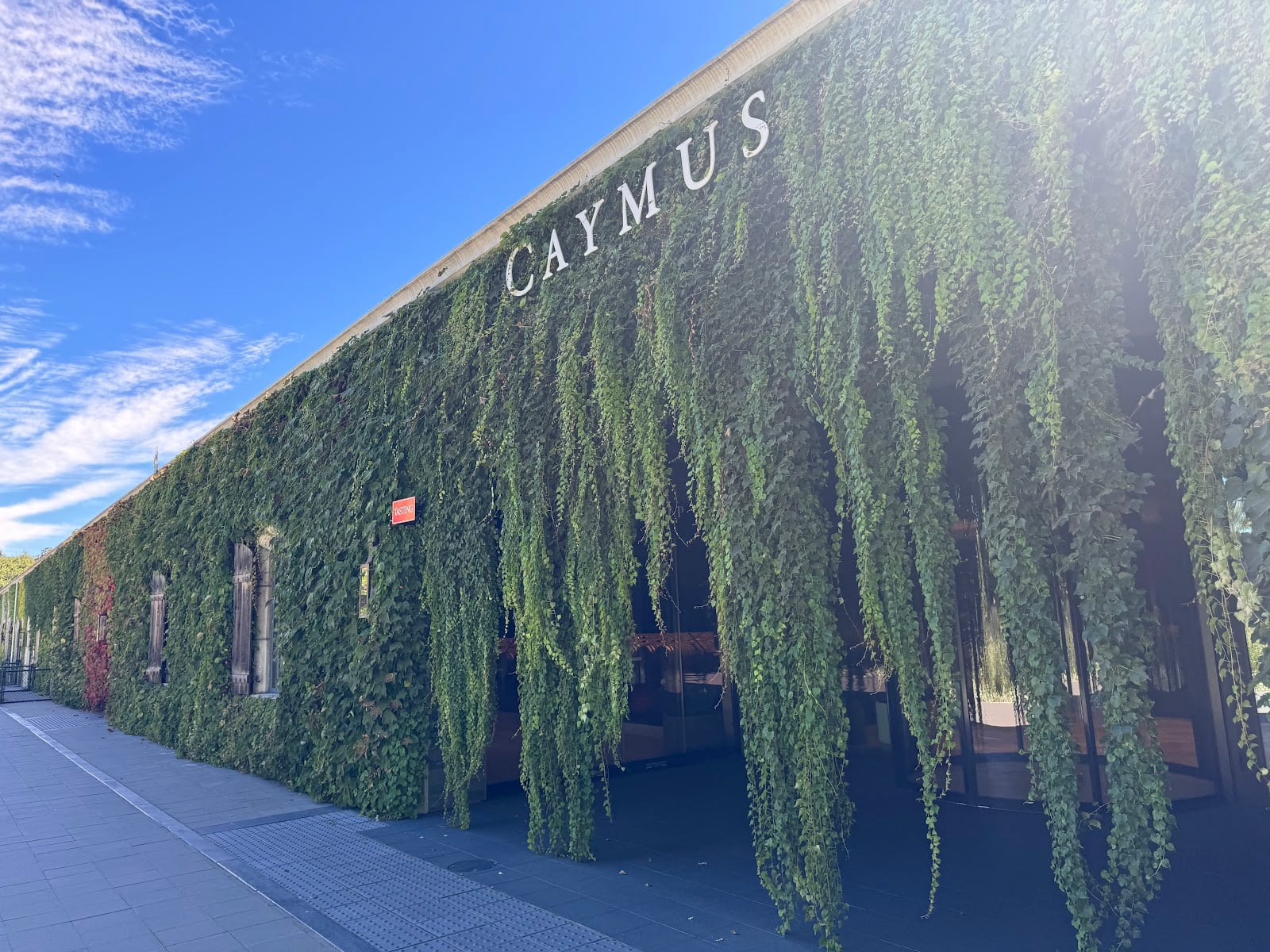 Caymus Vineyards photo 6