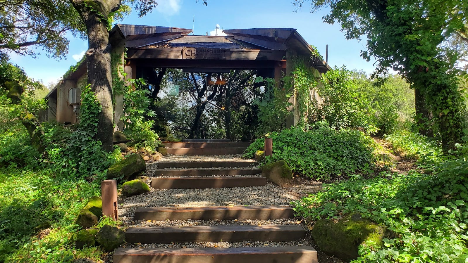 Chappellet Winery photo 2