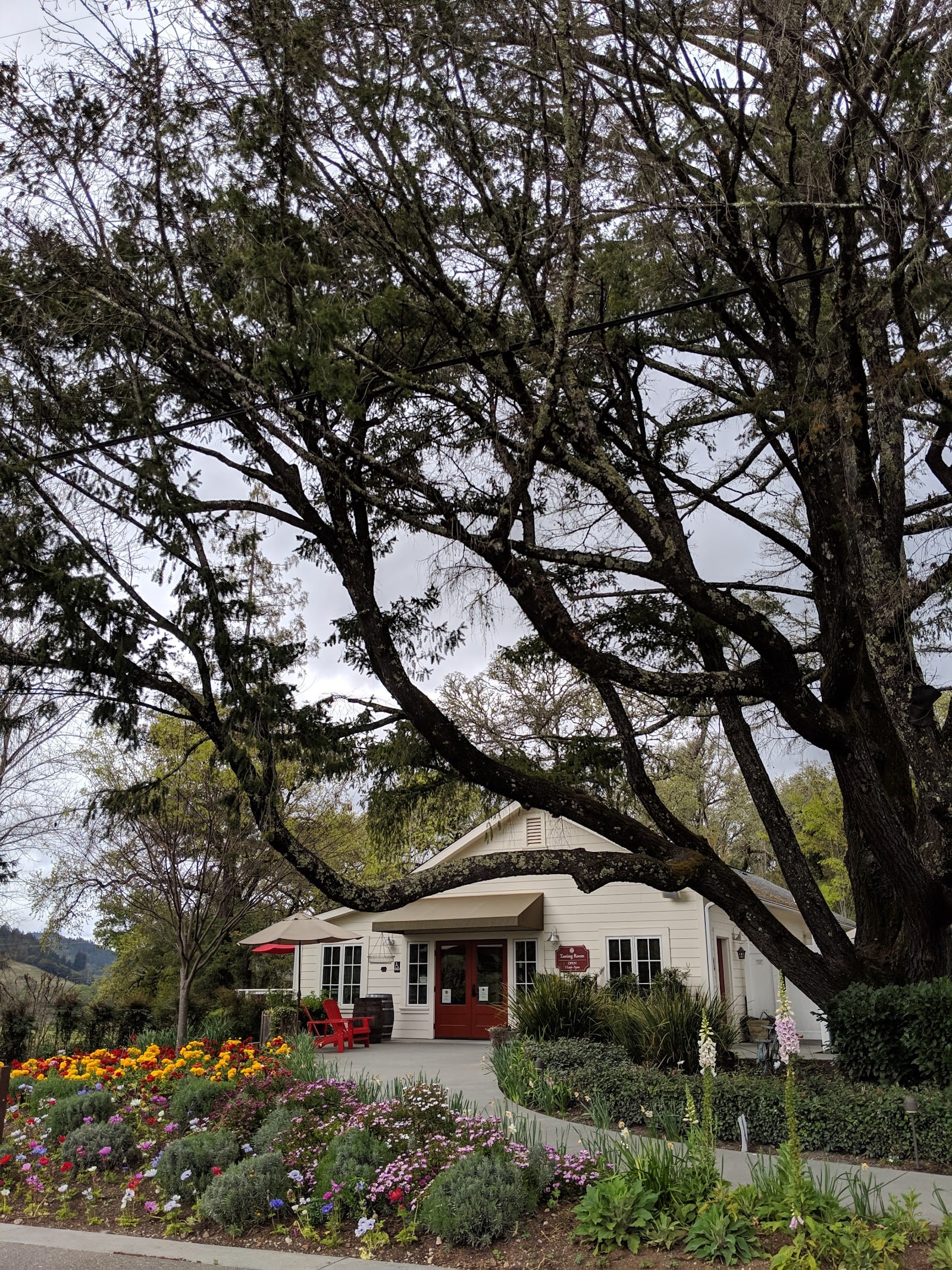 Chateau Diana photo 2