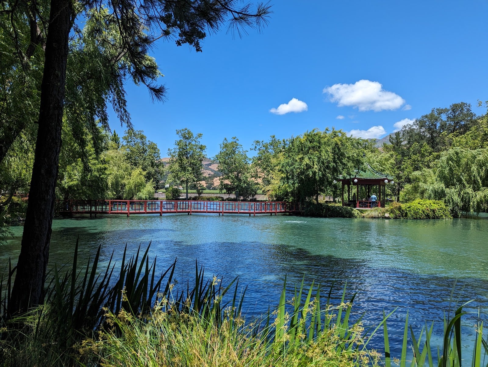 Chateau Montelena photo 7