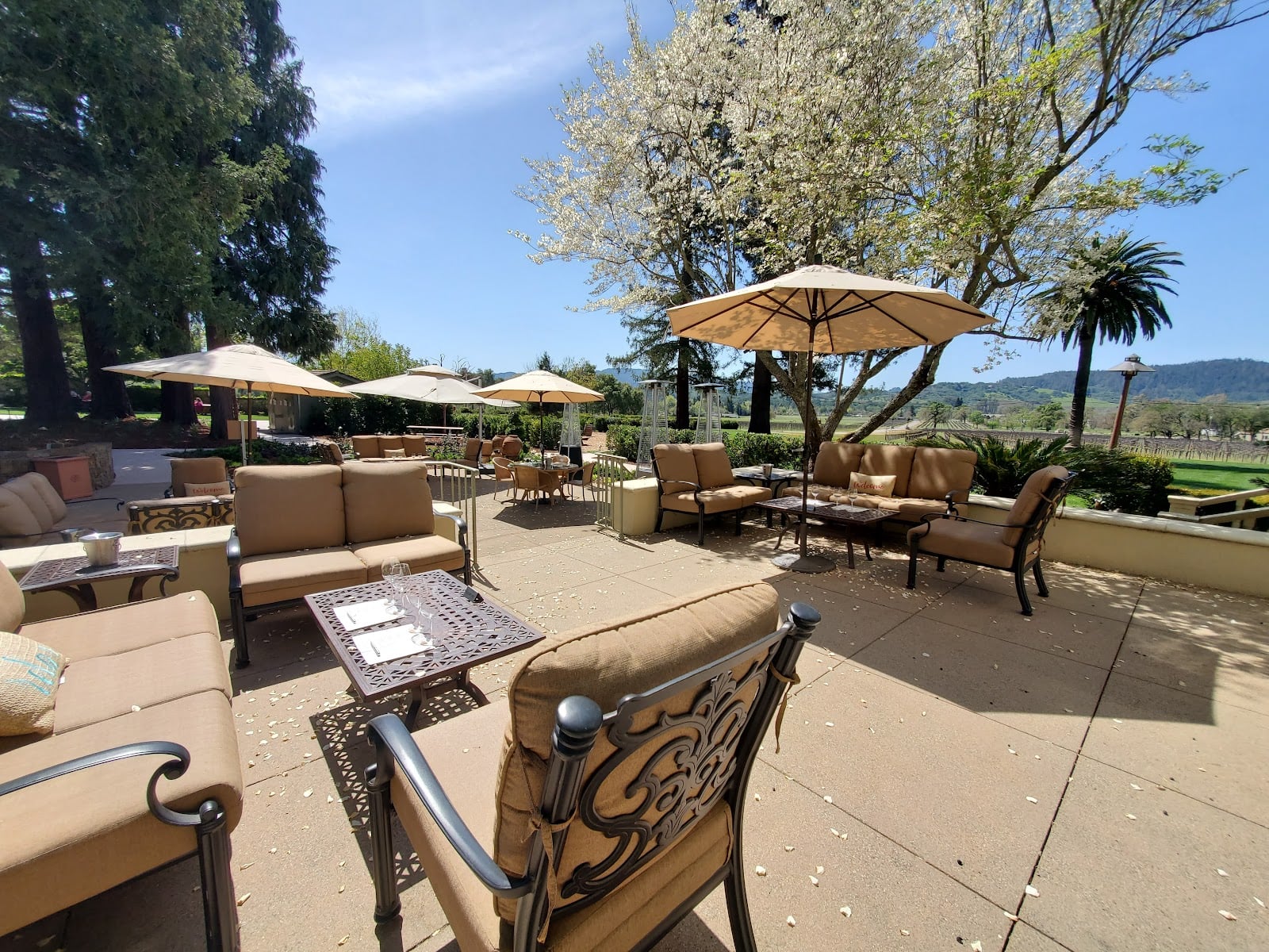 Chateau St. Jean Winery photo 2