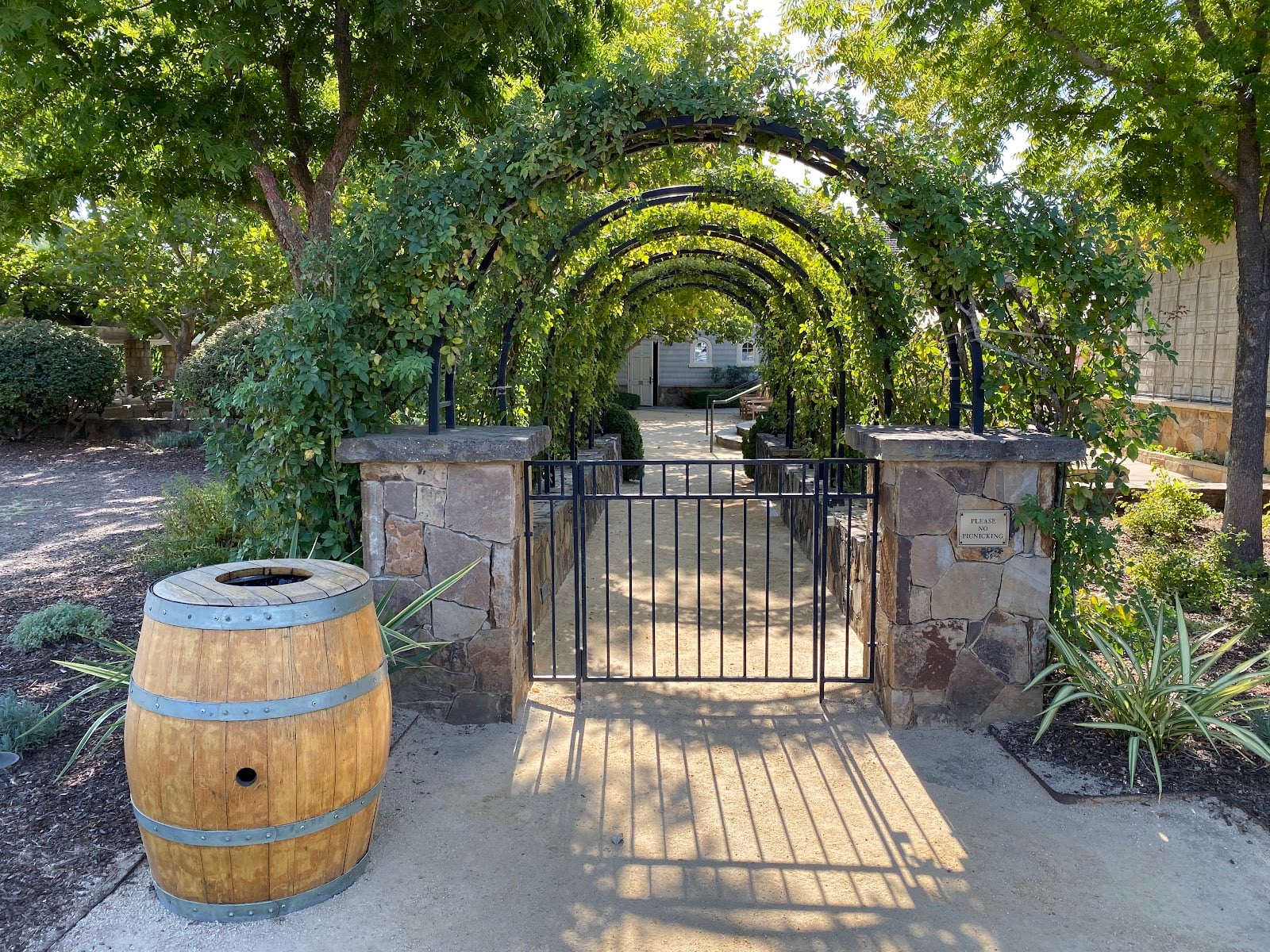 Cliff Lede Vineyards photo 2
