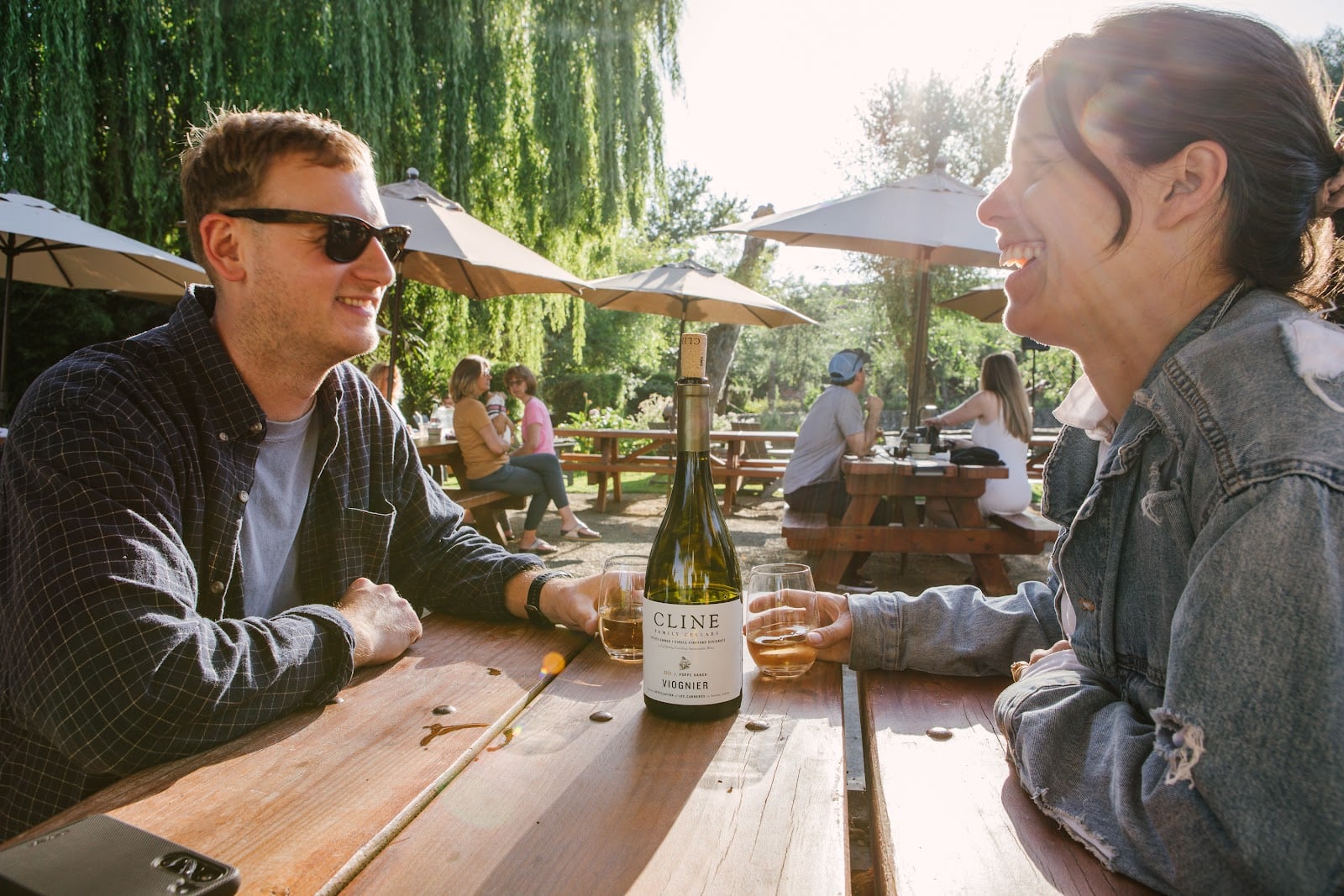 Cline Family Cellars photo 1